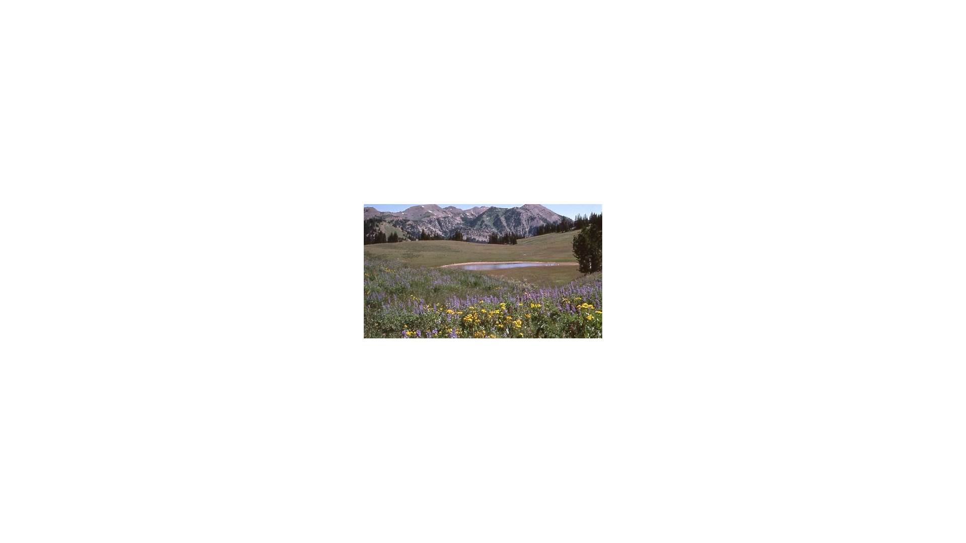 Granite Canyon Wyoming schools