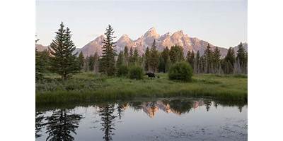 Jackson schools Wyoming