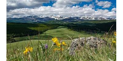 Powell schools Wyoming